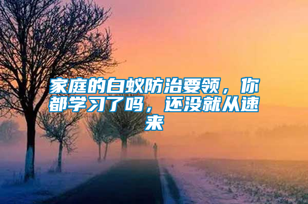 家庭的白蟻防治要領，你都學習了嗎，還沒就從速來
