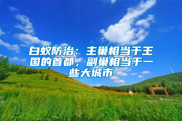 白蟻防治：主巢相當(dāng)于王國(guó)的首都，副巢相當(dāng)于一些大城市