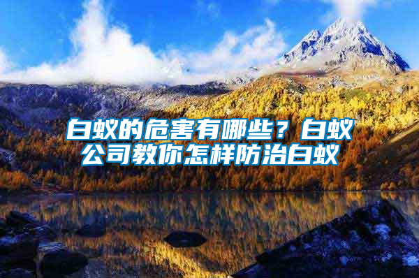 白蟻的危害有哪些？白蟻公司教你怎樣防治白蟻