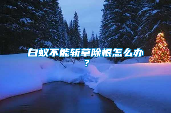 白蟻不能斬草除根怎么辦？