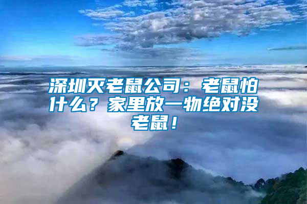 深圳滅老鼠公司：老鼠怕什么？家里放一物絕對(duì)沒老鼠！