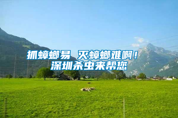 抓蟑螂易 滅蟑螂難??！ 深圳殺蟲來幫您