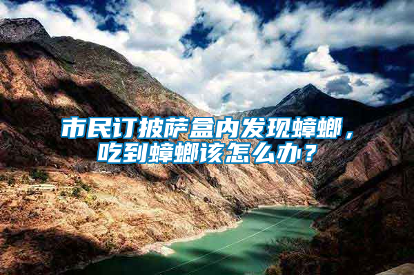 市民訂披薩盒內發現蟑螂，吃到蟑螂該怎么辦？