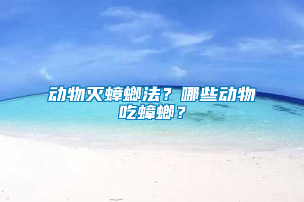 動(dòng)物滅蟑螂法？哪些動(dòng)物吃蟑螂？